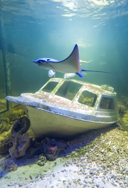 home inne ciekawe miejsca