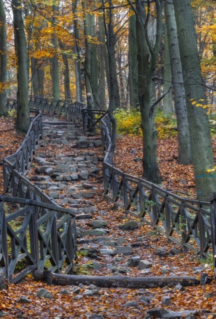 home propozycje wycieczek