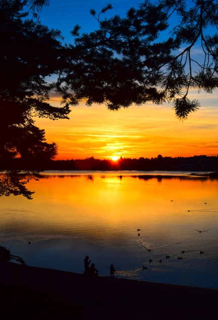 home relaks i rozrywka 1