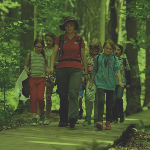 strona glowna_kategorie_uslugi_75